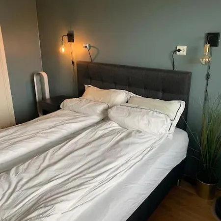 Entire For Rent In East *